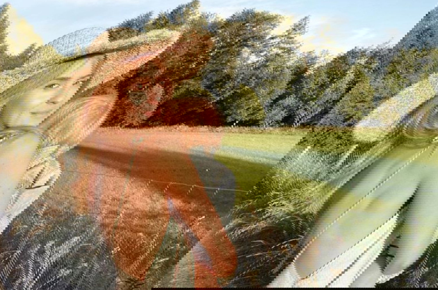 bdbf0855329b3642b2241a395c4e993f0c35132d-01bdd2d