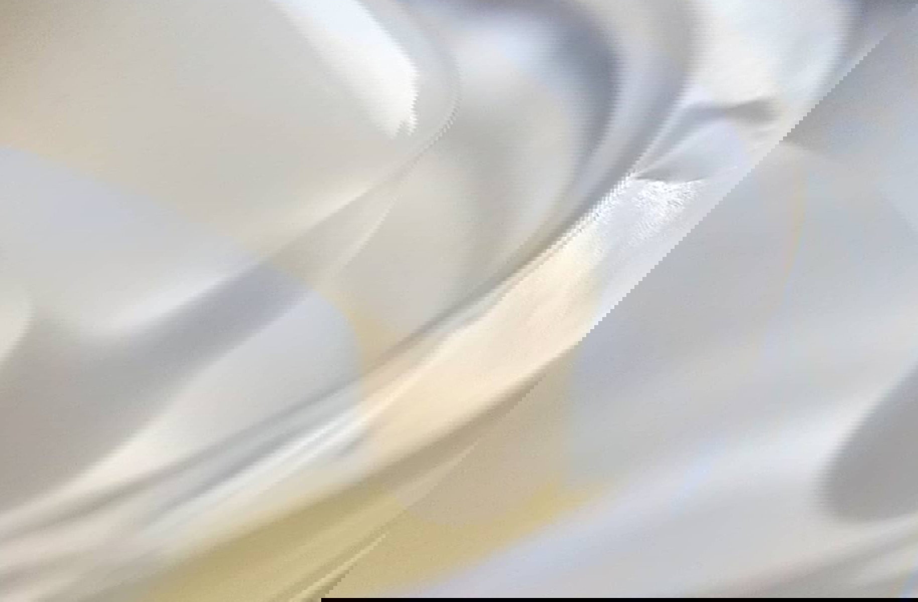 8187c0787eafa7589afef7c26711dfae3f3a859b-a01ad64