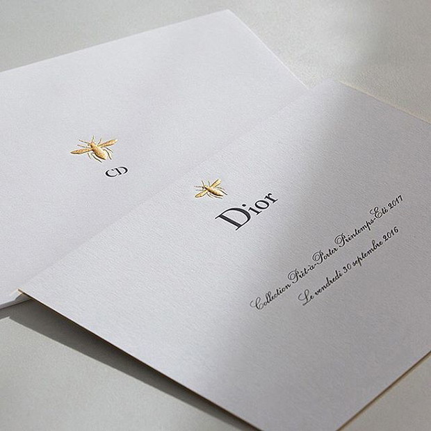 14369019_333802690291111_8602417918740791296_n