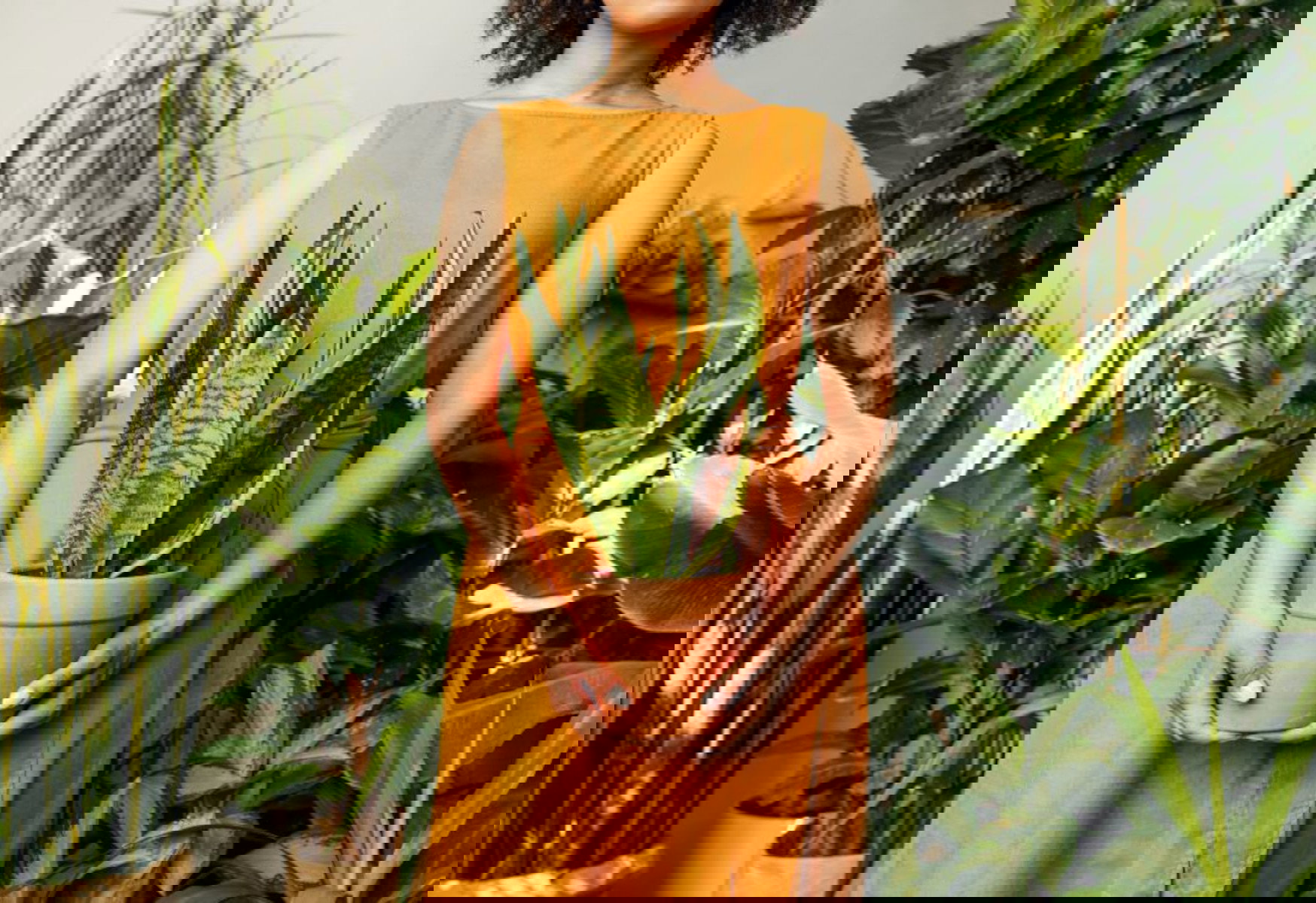 CREATOR: gd-jpeg v1.0 (using IJG JPEG v62), quality = 80