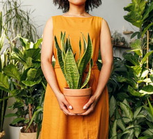 CREATOR: gd-jpeg v1.0 (using IJG JPEG v62), quality = 80