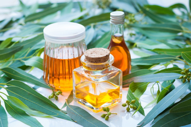Naturalne antybiotyki