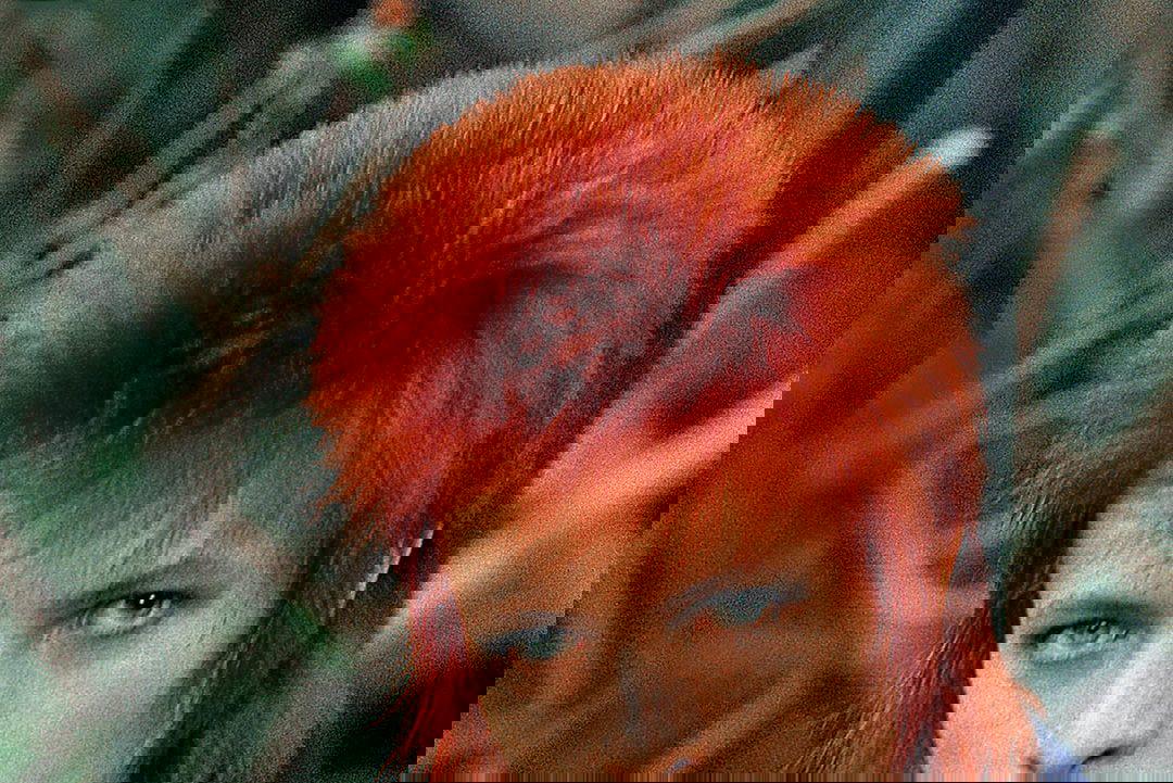 5.rocznica śmierci Davida Bowie