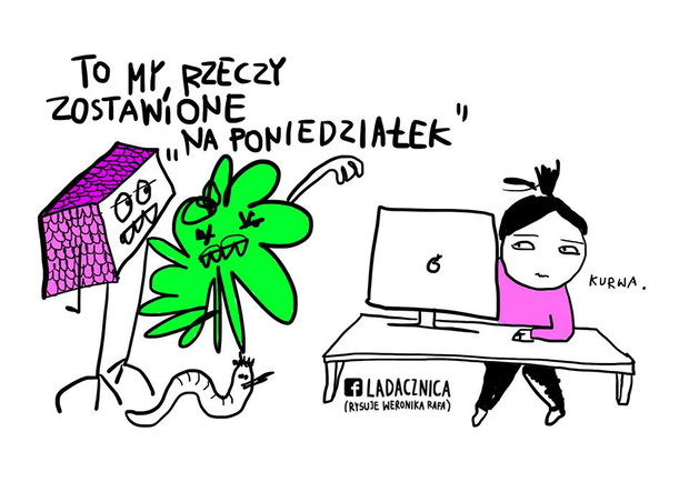 Projekt Ladacznica Weroniki Rafy
