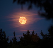 pelnia-zimowego-ksiezyca-ksiezyc-w-raku-3461a93