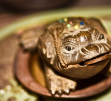 Close-up of a chan chu, Qingdao, Shandong Province, China