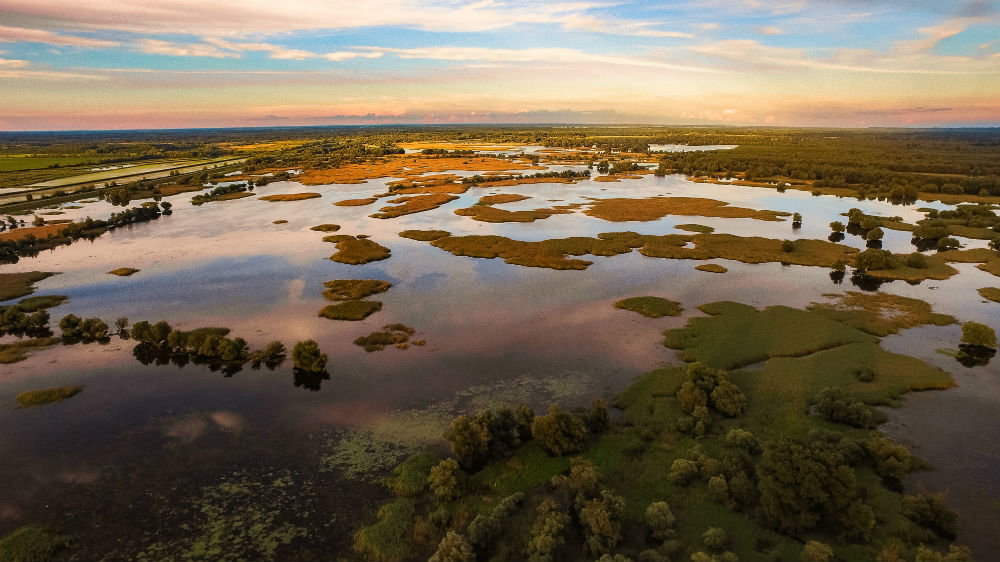 Slawonia, Kopački Rit