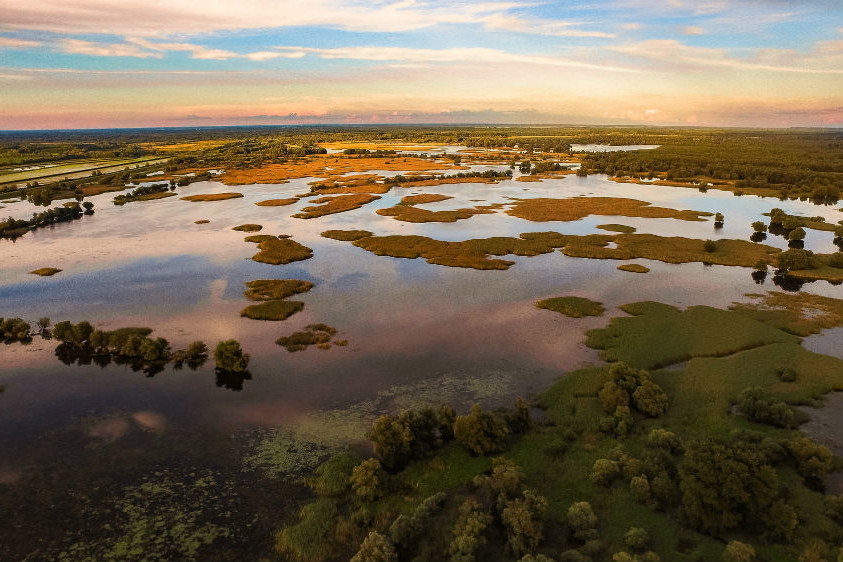 Slawonia, Kopački Rit
