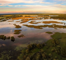 Slawonia, Kopački Rit