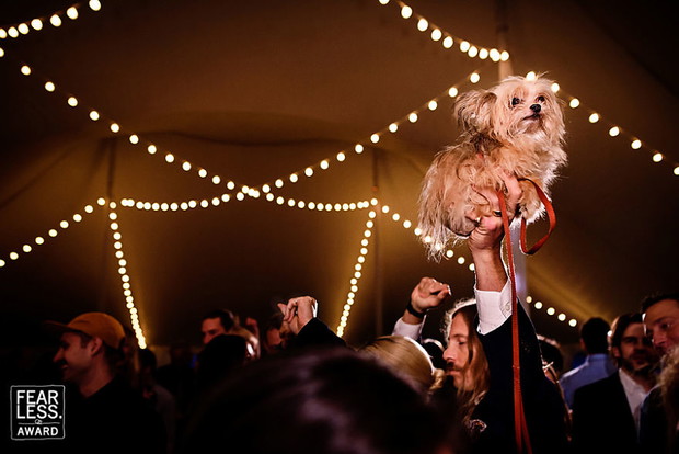Zdjęcia ślubne Fearless Awards