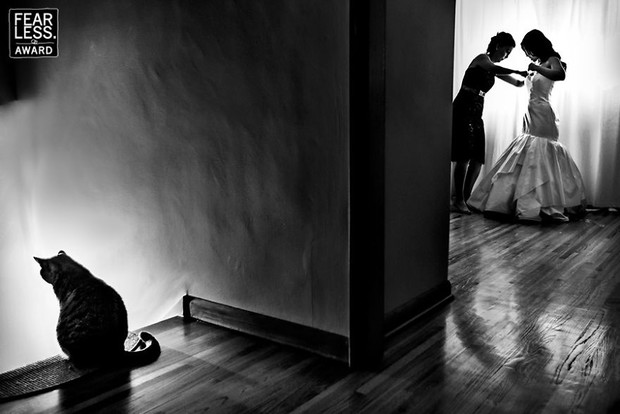 Zdjęcia ślubne Fearless Awards