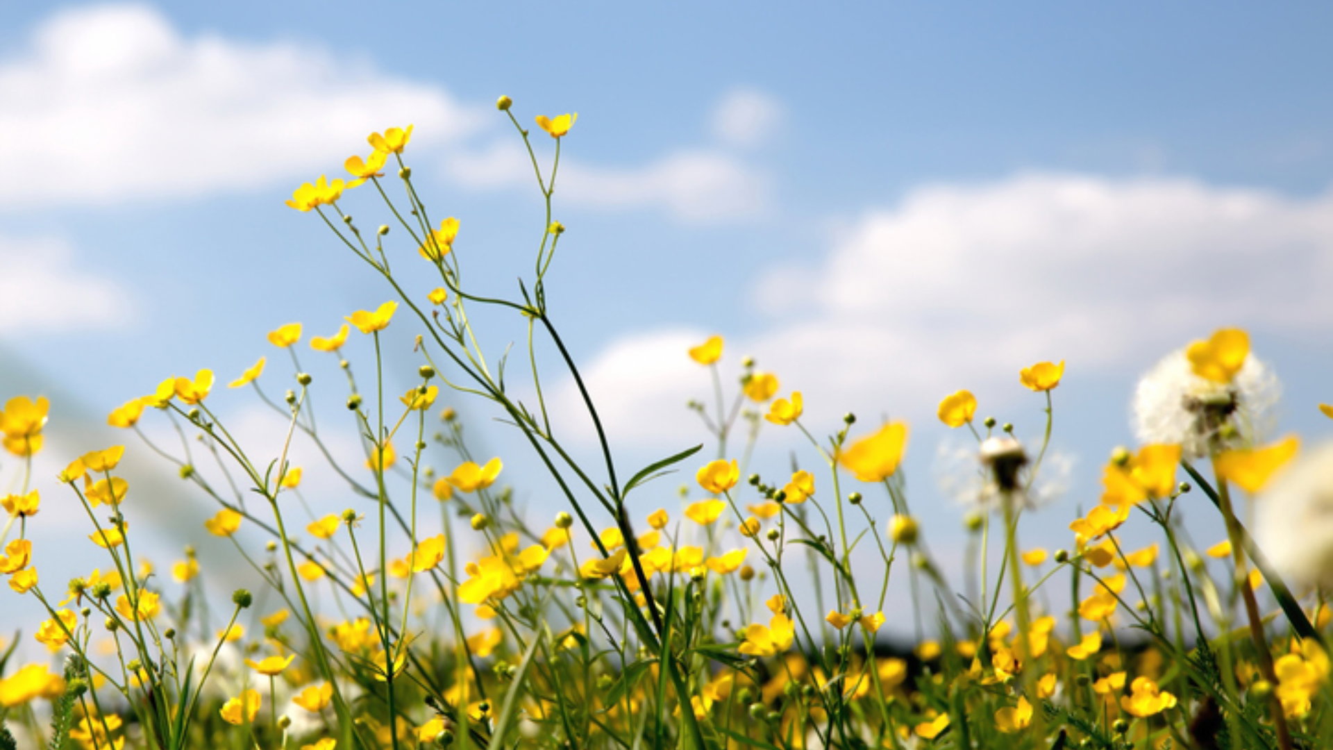 marki-modowe-i-kosmetyczne-ktore-wspieraja-ukraine1-74e17ad