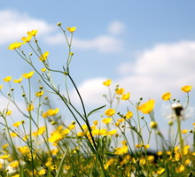 marki-modowe-i-kosmetyczne-ktore-wspieraja-ukraine1-74e17ad