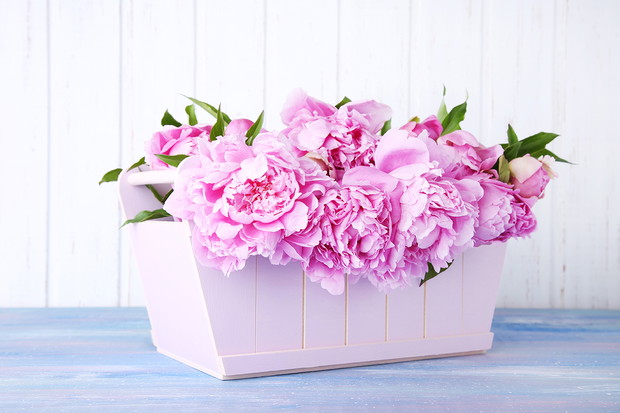 Wiersze na Dzień Matki