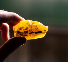 kamien-tysiaca-slonc-ba9953e