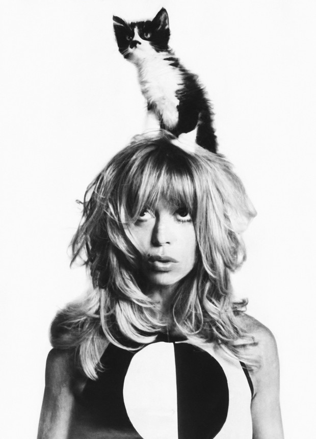 31d6646899c4451c3750b86fe2795fef