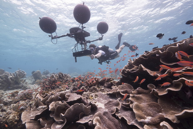 Kadr z serialu Błękitna Planeta II BBC Earth
