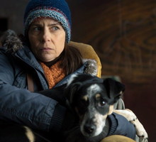 33. Warszawski Festiwal Filmowy