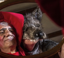 "Pokot" polskim kandydatem do Oscara