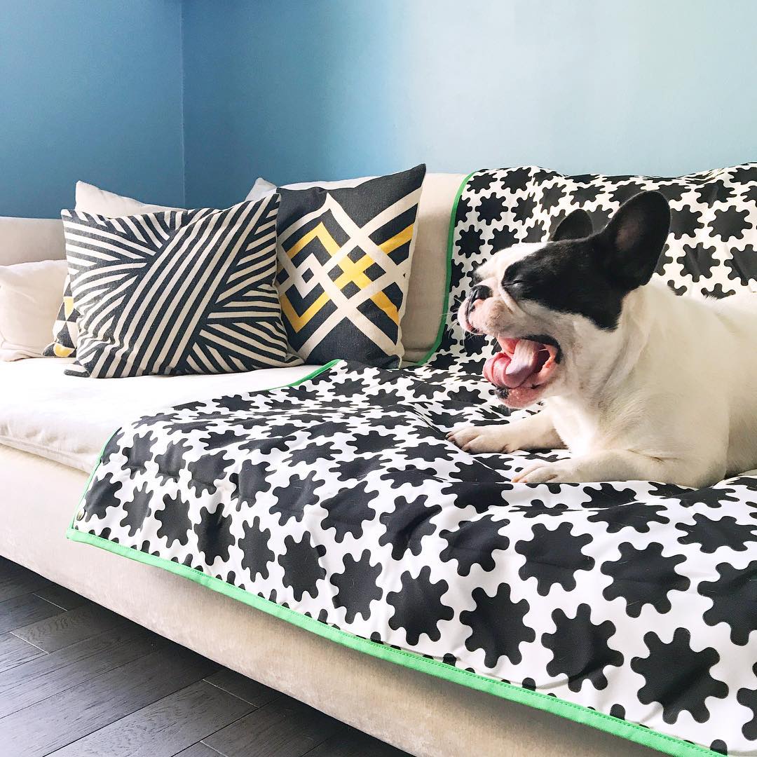 Kolekcja Lurvig IKEA dla zwierząt