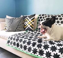 Kolekcja Lurvig IKEA dla zwierząt