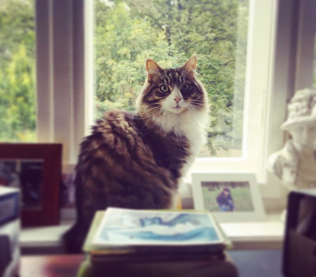 Jak mieszka Marta Kaczyńska?