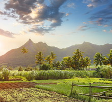 Mauritius: wakacje. Dlaczego warto pojechać?