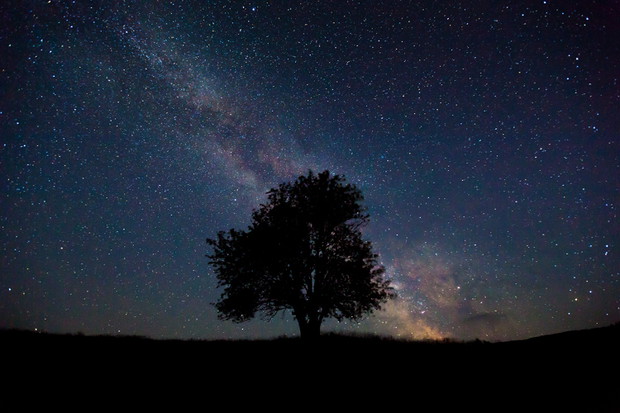 Grand Press Photo 2018: III miejsce w kategorii ŚRODOWISKO