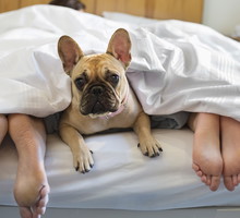 zerowy PIT: dlaczego młode matki stracą?