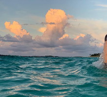 Małgorzata Kożuchowska