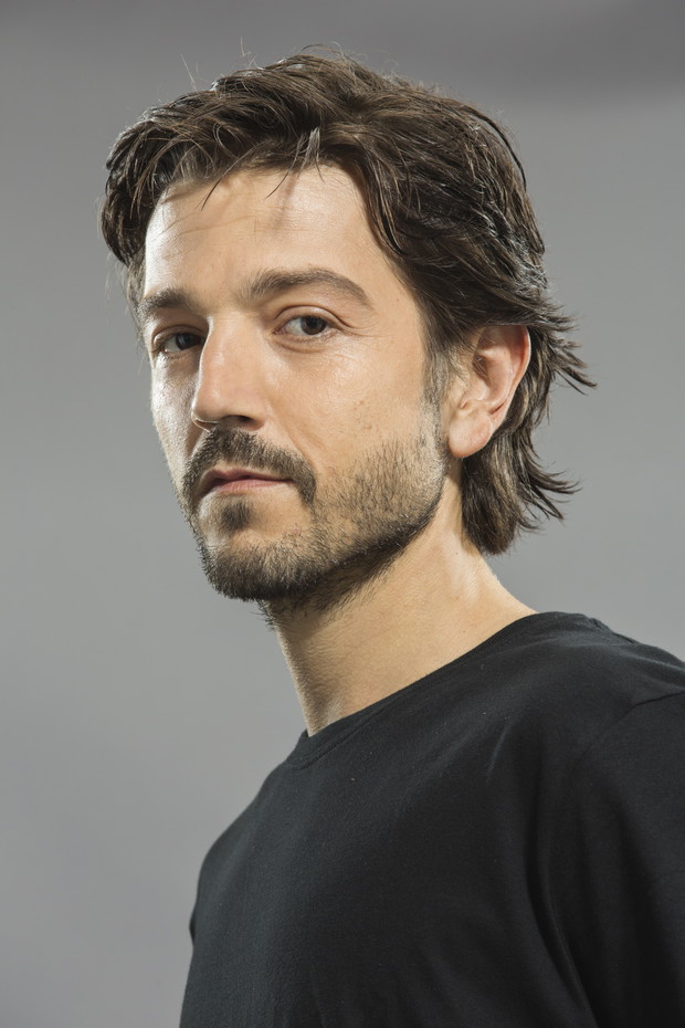 Diego Luna (Félix Gallardo)