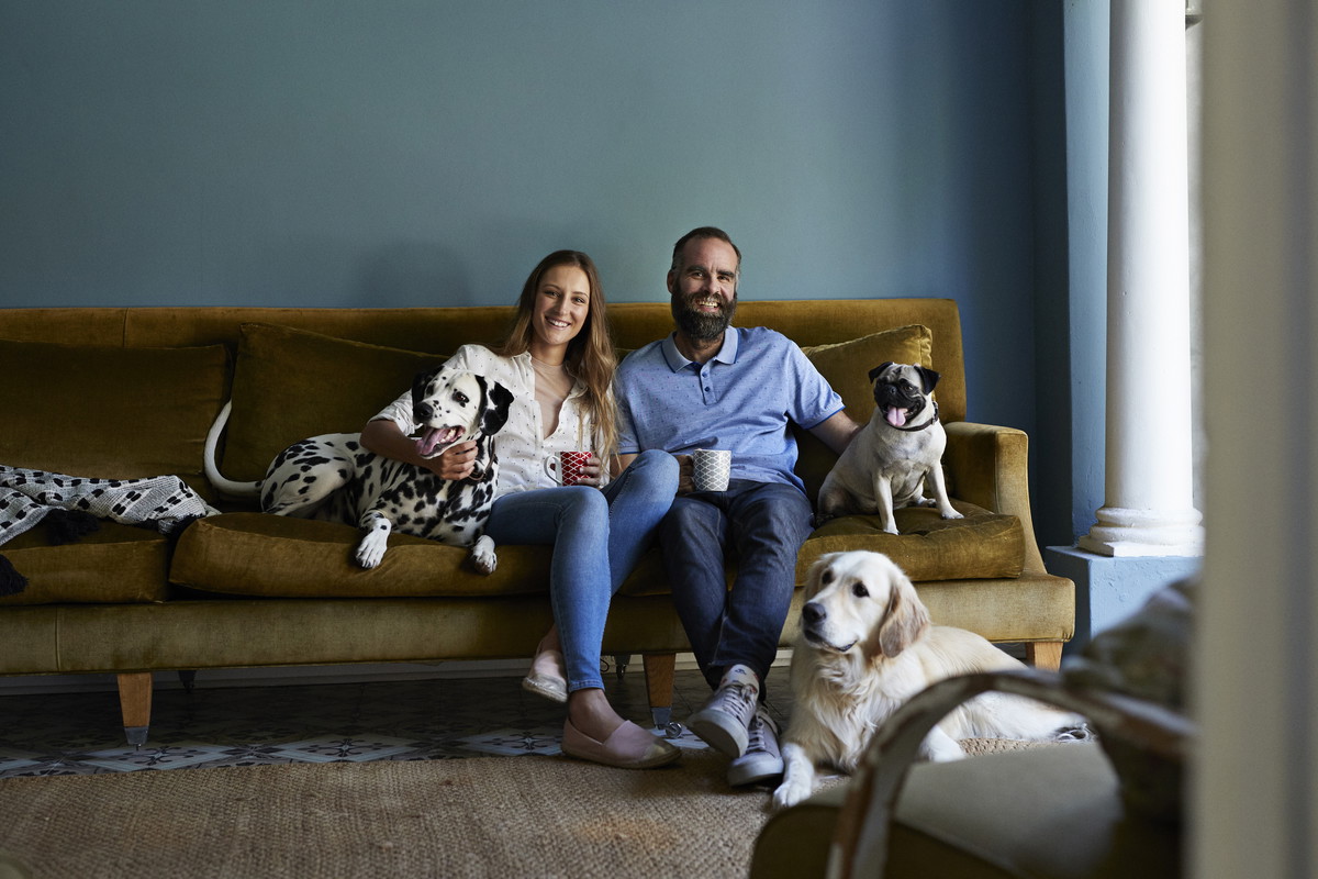 Zwierzęta zamiast dzieci