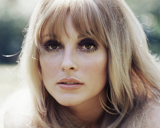 Aktorka Sharon Tate