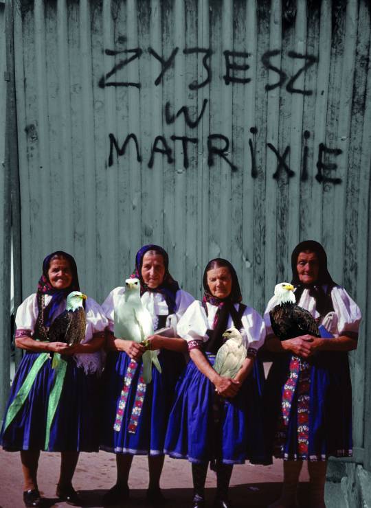 Alicja Biała kolaże