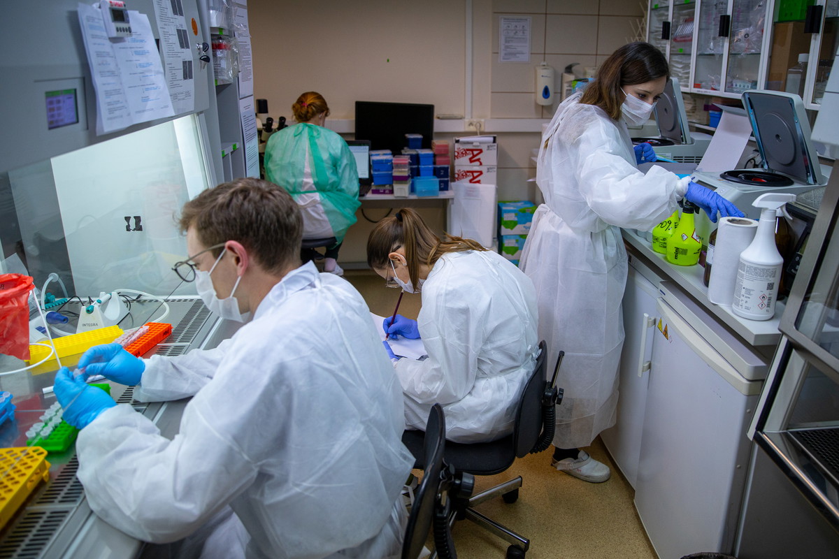 Polski test na koronawirusa SARS-CoV-2 gotowy do produkcji
