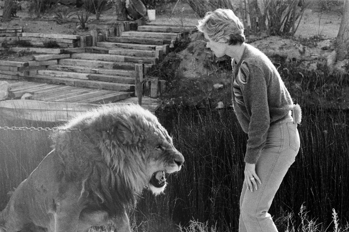 Tippi Hedren z lwem
