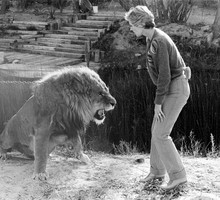 Tippi Hedren z lwem