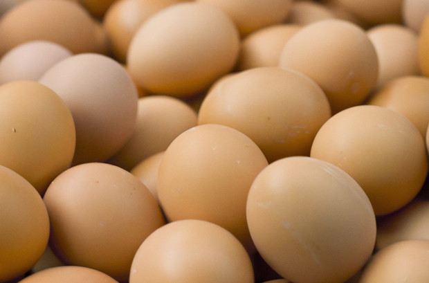 shutterstock_65720500