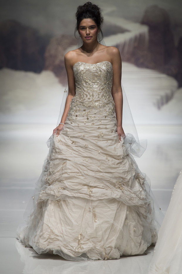 Ian_Stuart_brd_S15_004