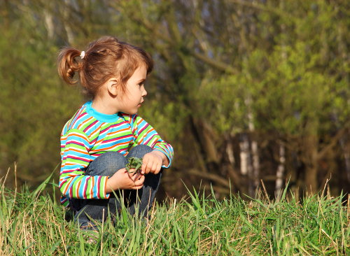 shutterstock_32415652kleszcze