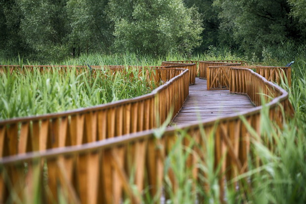 Slawonia, Kopački Rit