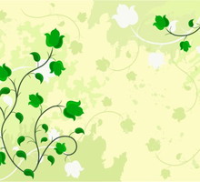 shutterstock_24201043