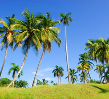 shutterstock_22553215