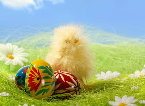 shutterstock_26709682