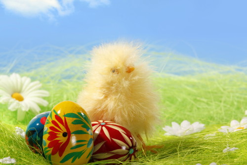 shutterstock_26709682