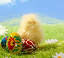 shutterstock_26709682