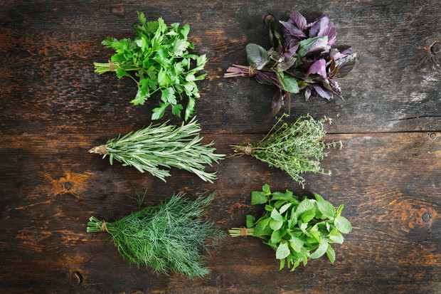 Świeże zioła