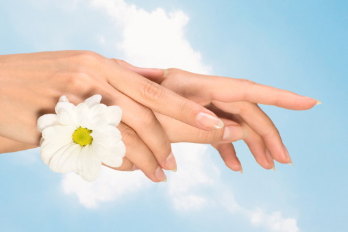 shutterstock_36178102