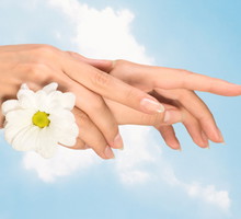 shutterstock_36178102