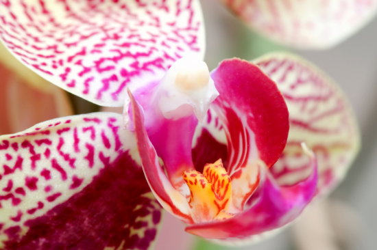 shutterstock_27239659